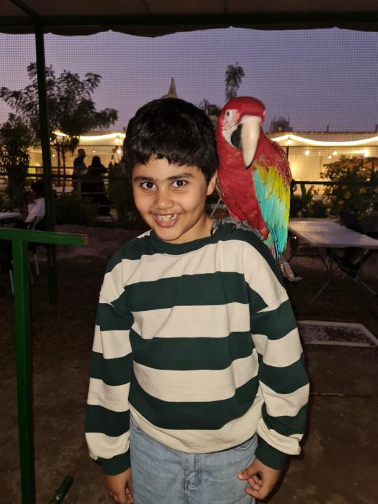 Mustafa Asfoor