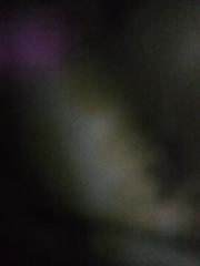 Daniyal Shahzad