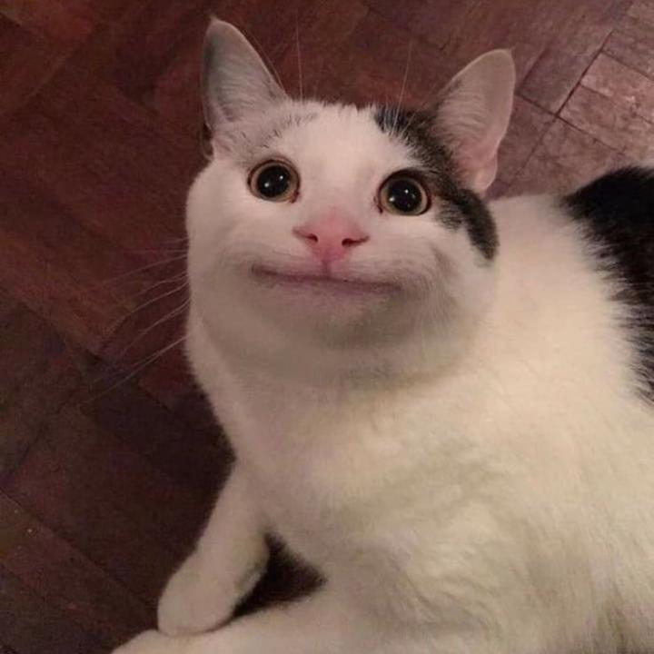 Kunhismita Madhukalya