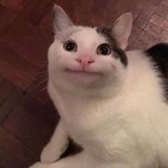 Kunhismita Madhukalya