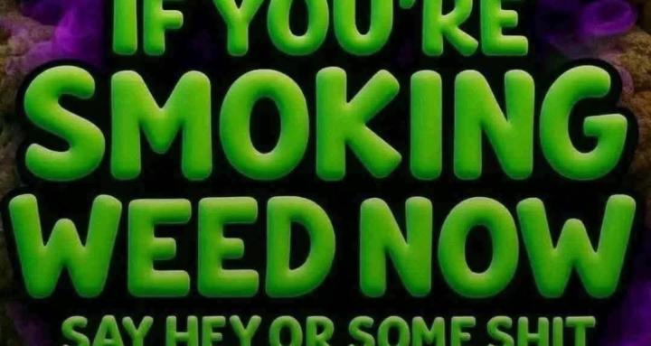 The cult of cannabis 
