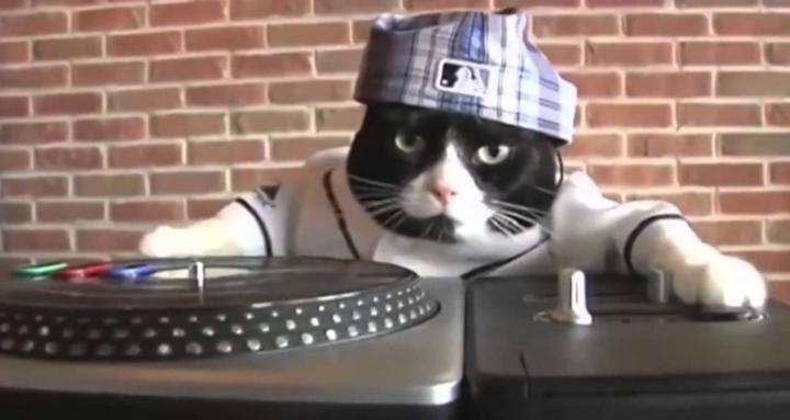 Laboratorio de DJs