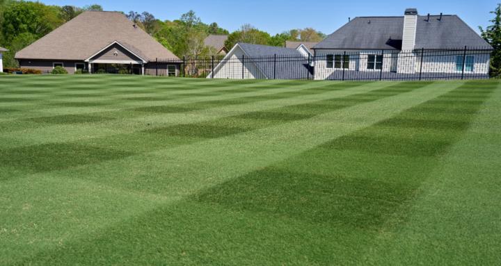 Golf Course Lawn Legends