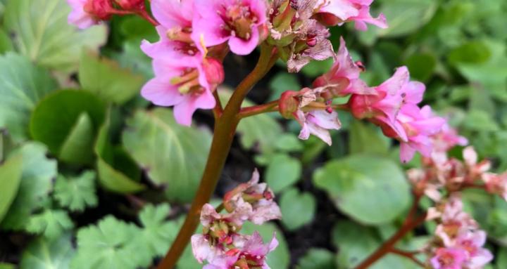 Practical Mindfulness