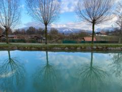 Dr. Agnes Gamsjäger