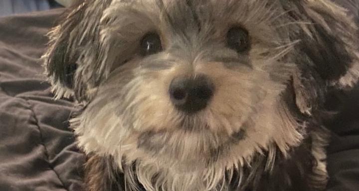 Positively Motivated