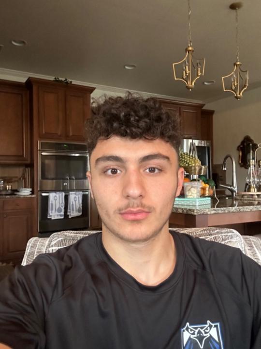 Taha Hamed