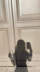 Imprenditrice Introversa
