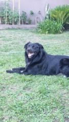 María Teresa Goldvaitz