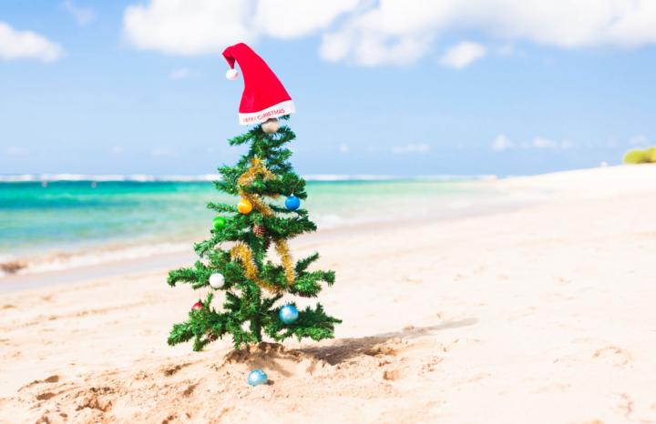 Happy Holidays!