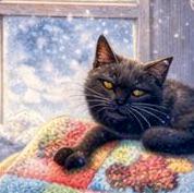 There Is Something in the Cozy Lockbox…NOW OPEN