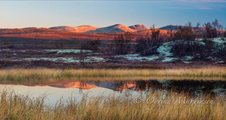 Landscape Photography