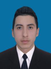 Luis David Díaz Mejía