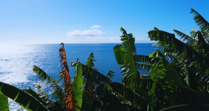 Ukulele Chill Academy