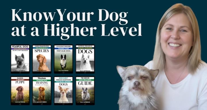 Talking Dogs