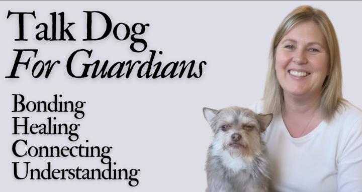 TalkDog