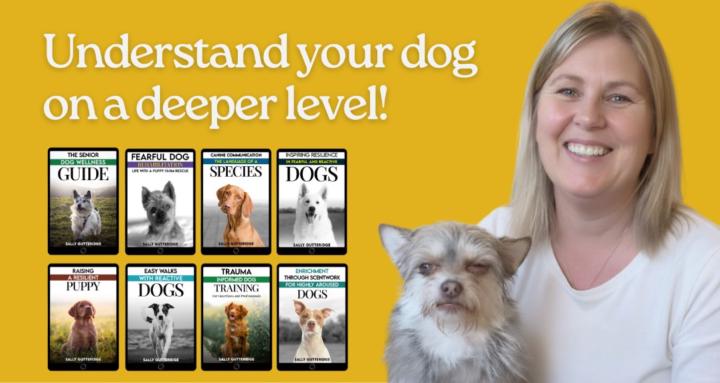 TalkDog