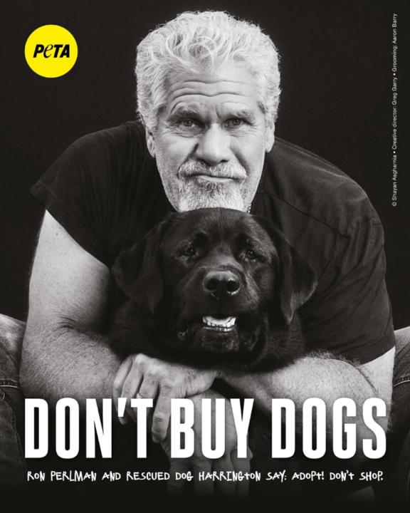 Ron Perlman