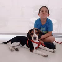 Luis Pedro Sialer Plasencia