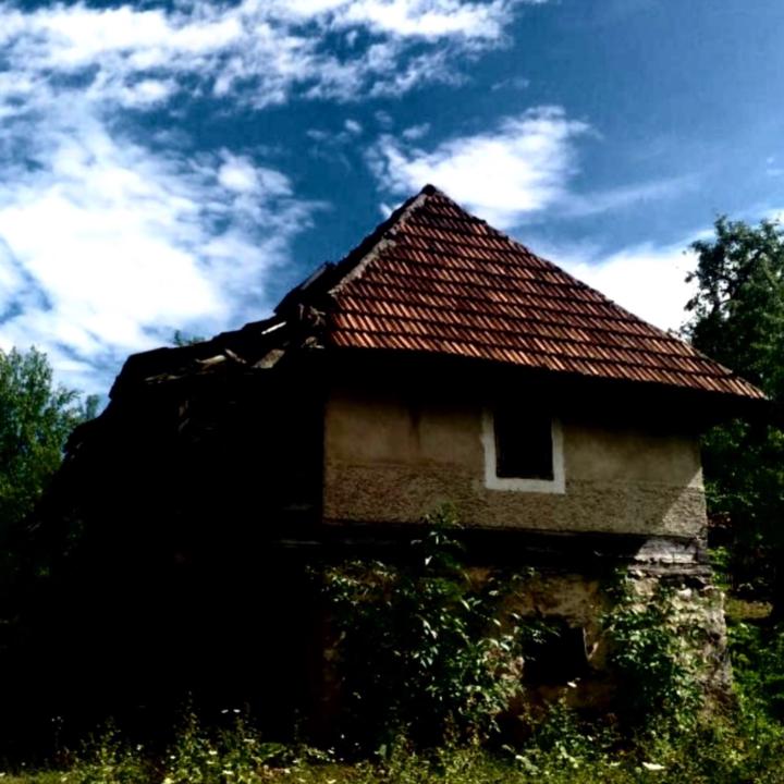 Drasko G
