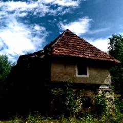 Drasko G