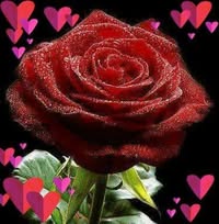 Ismat Jabeen