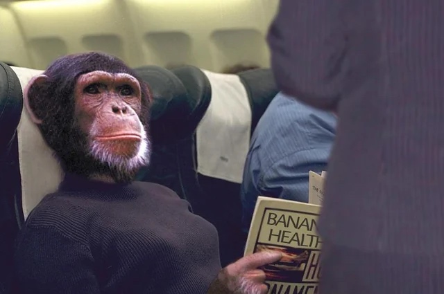 Pablo Daniel Quinteros