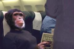 Pablo Daniel Quinteros