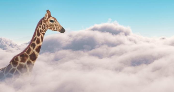 Le Cercle des Girafes Alignées
