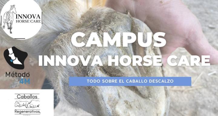 Campus Innova Horse Care 