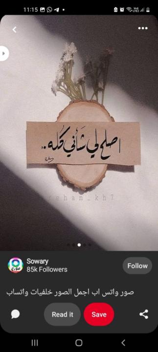 Samar Mohamed