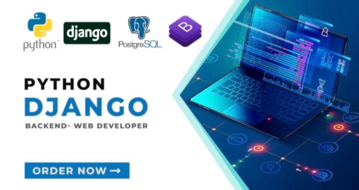 Django for everyone