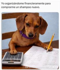 Adriana Ads