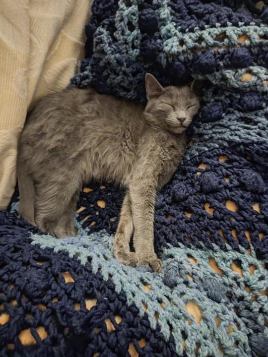 Δημήτρης Αγορας