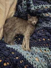 Δημήτρης Αγορας