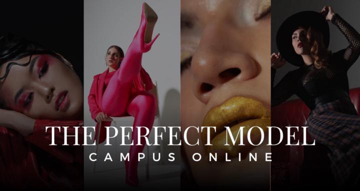 The Perfect Model