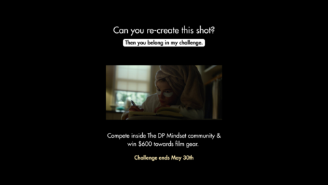 The DP Mindset gallery image