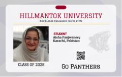 Aisha Panjwaneey