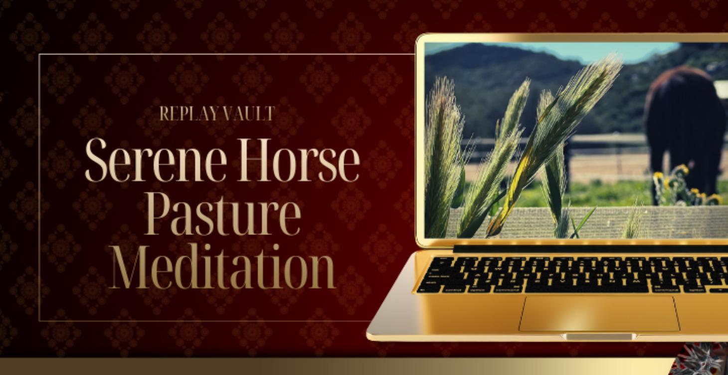 Serene Horse 🐴 Pasture Meditation 🧘‍♂️