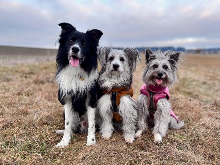 Michaela Šalamunová