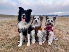 Michaela Šalamunová