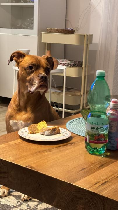 Wolfgang Friedl-Grimm