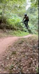 Daniel Wilson-griffiths