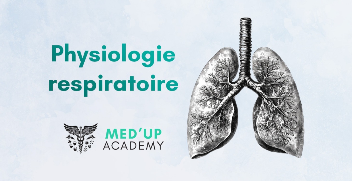 Physiologie respiratoire
