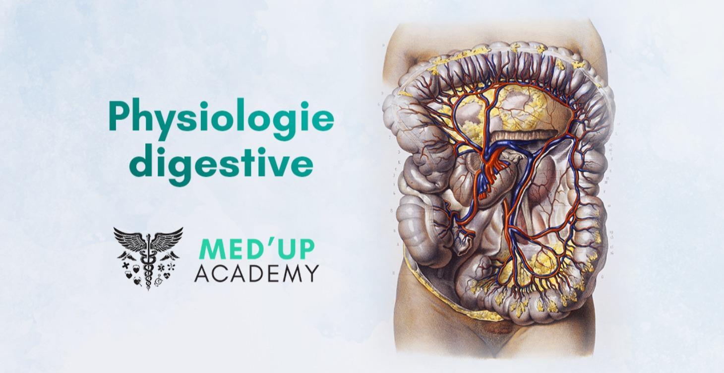 Physiologie digestive
