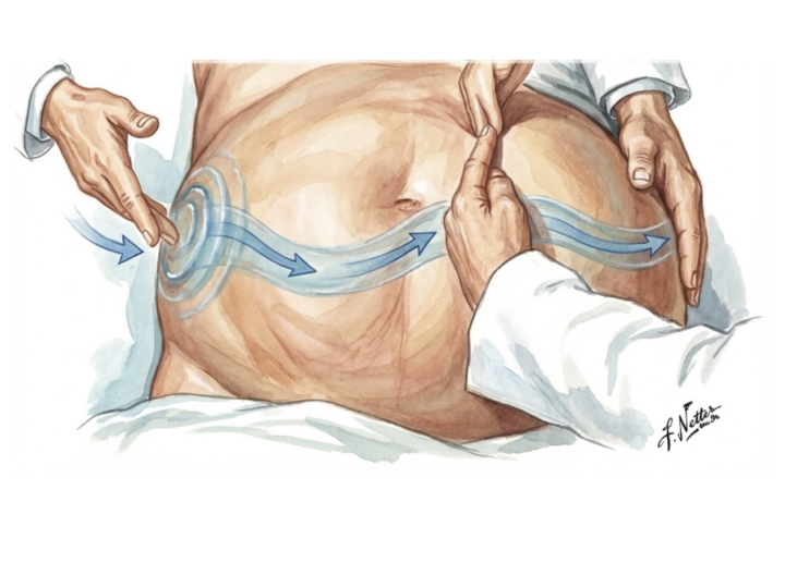 Sémiologie digestive