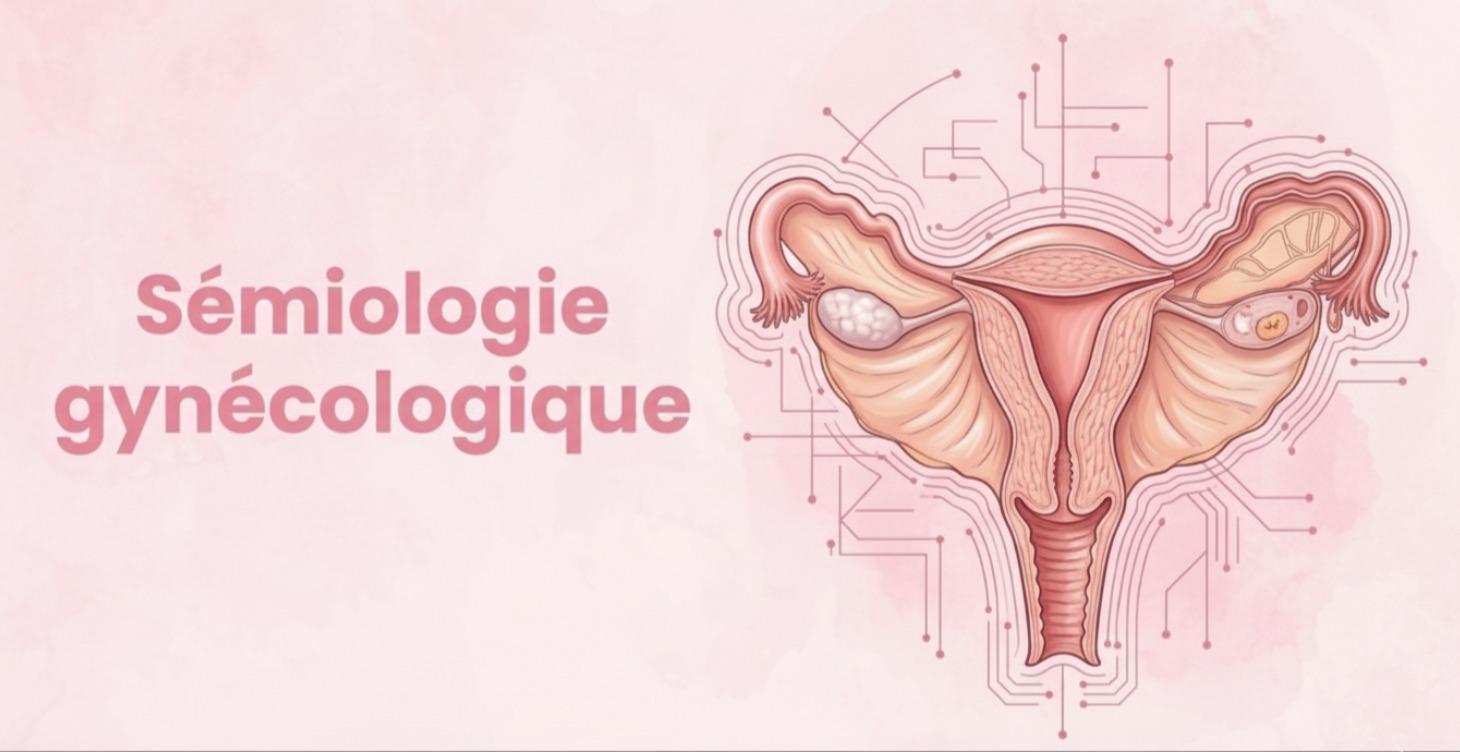Sémiologie gynécologique