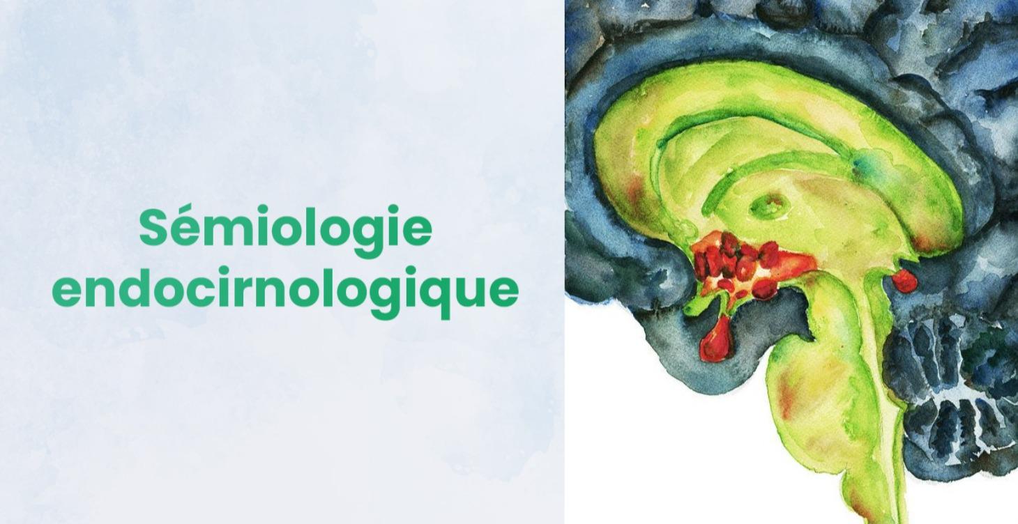 Sémiologie endocrinologie