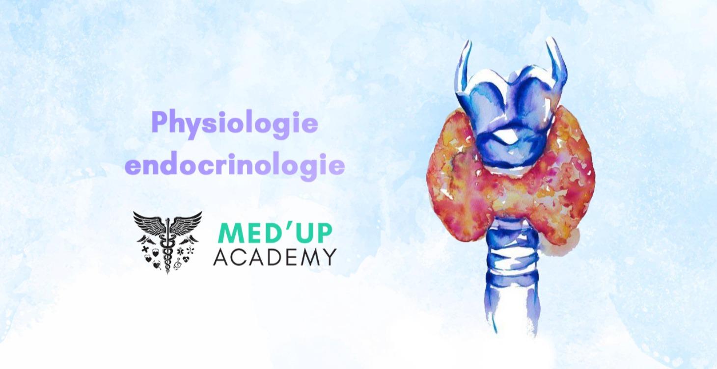 Physiologie endocrinologie