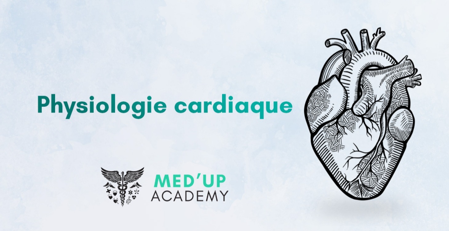 Physiologie cardiaque